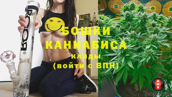 амф Михайловск