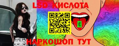 гашик Аргун