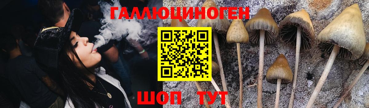 Галлюциногенные грибы Magic Shrooms Набережные Челны